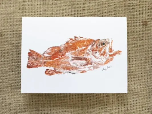 Vermillion Rockfish Print 8x11