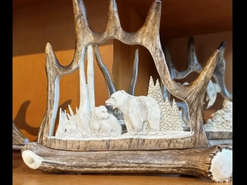 Moose Antler Carving With Bear and Cub