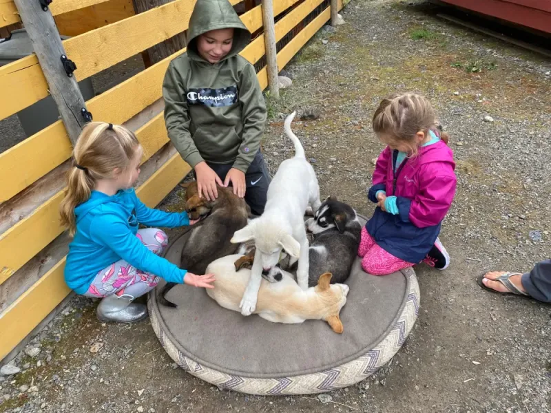 5 Hour Private Summit tour + Tushi Dog mushing camp