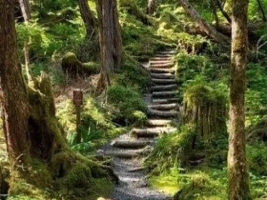 Rainforest & Waterfalls (Private Hiking Tour)