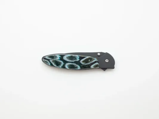 Blue circled Kershaw Knife w Mammoth Tooth 