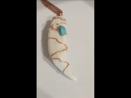 Black Bear Tooth Necklace