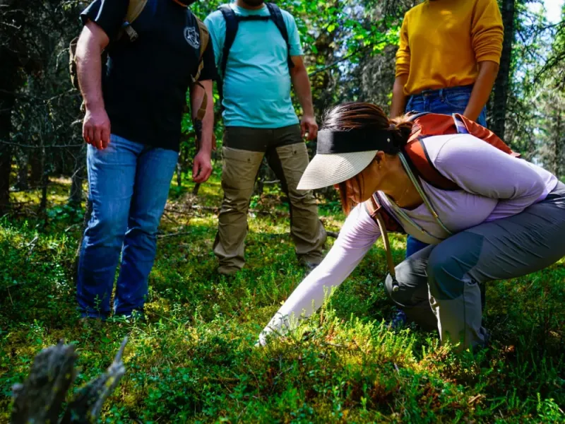 4 Hour Wilderness Wonders Tour