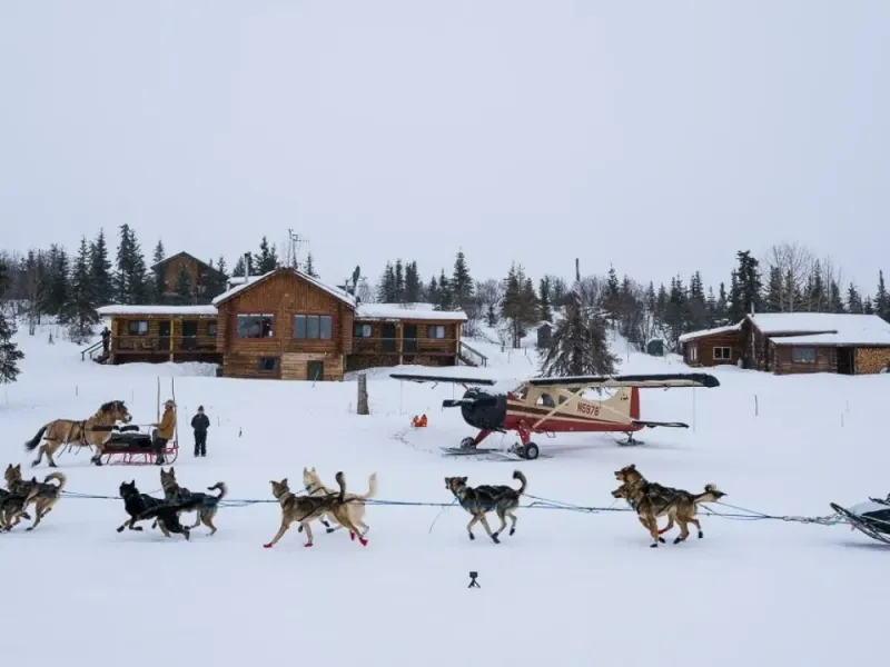Experience Alaska: Iditarod & Aurora