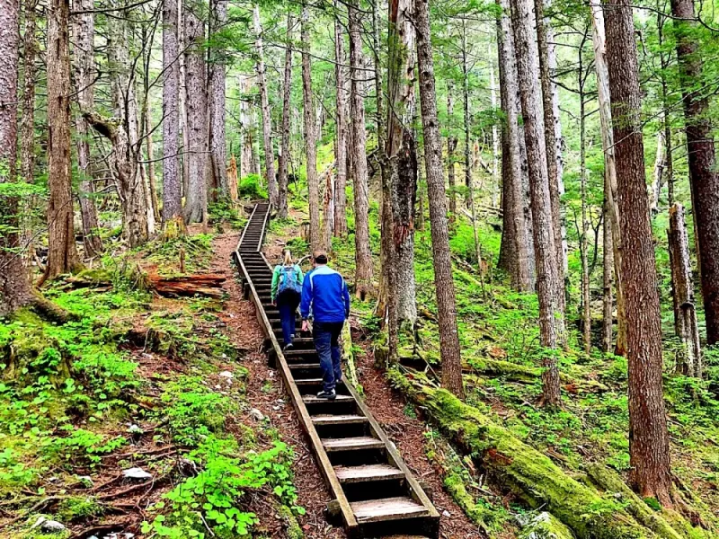 Guided Hike | TONGASS NATIONAL FOREST