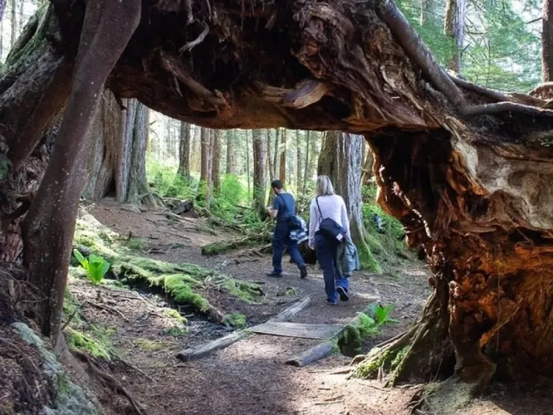 Adventure Hike | ALASKAN WILDERNESS TRAIL