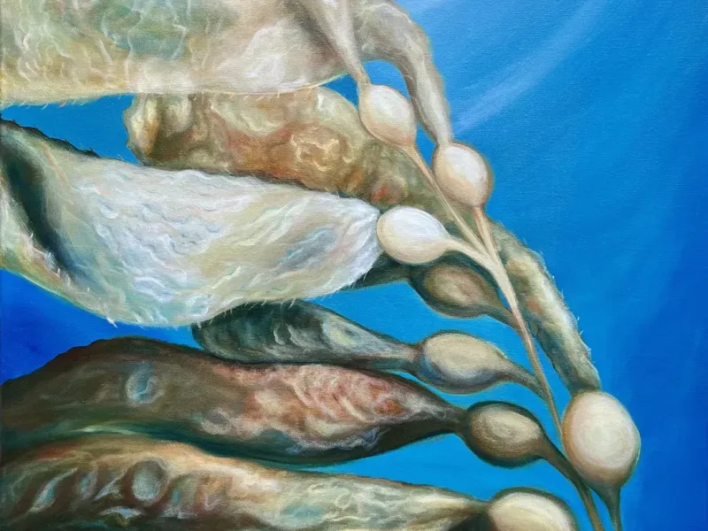 Flowing Kelp Original Art