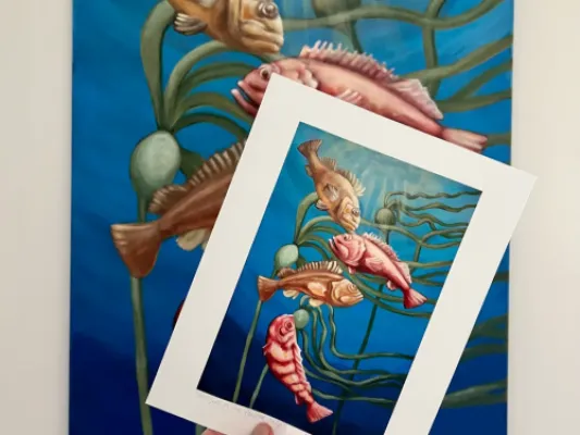 Rockfish in Coastal Kelp Print
