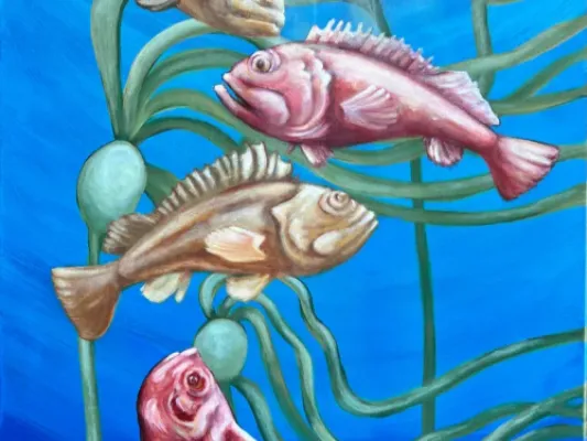 Rockfish In The Coastal Kelp Original Art