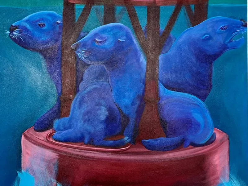 Sea Lion Above Original Paintings