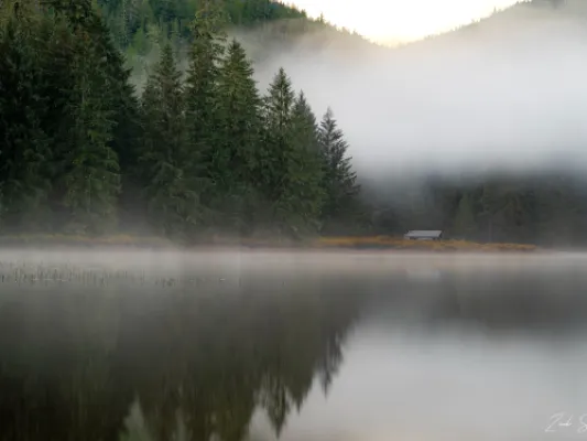 Foggy Forest Lake - Metal Alaska Wall Art Photo Print