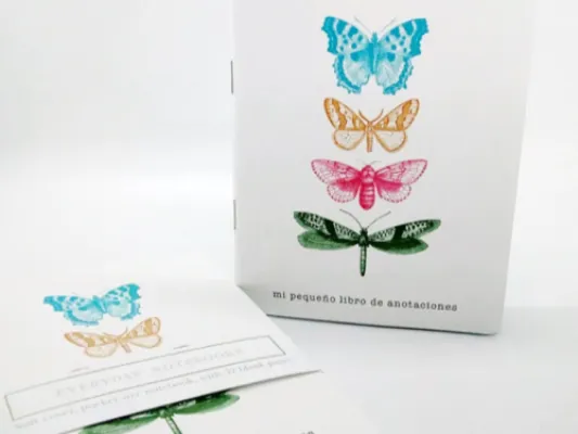 Moths Everyday Notebooks
