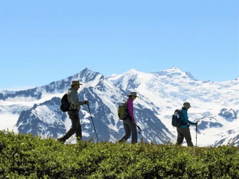Heli-Hiking - Seward 4-Hour Tour