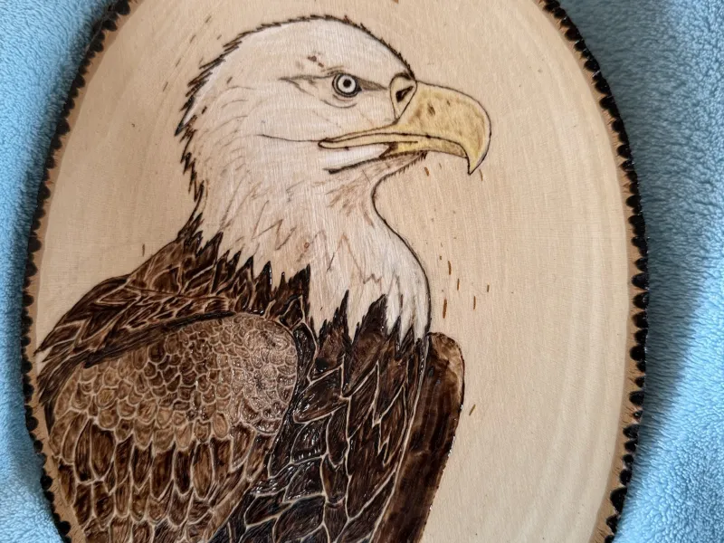 Wood burned picture of Bald Eagle