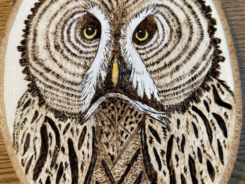 Wood-burned Great Grey Owl picture
