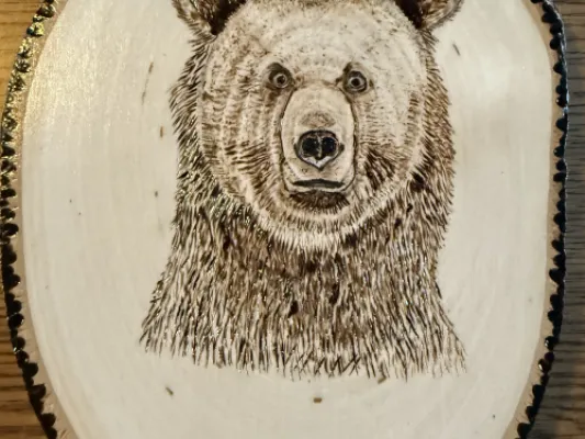 Wood burned picture of Brown Bear