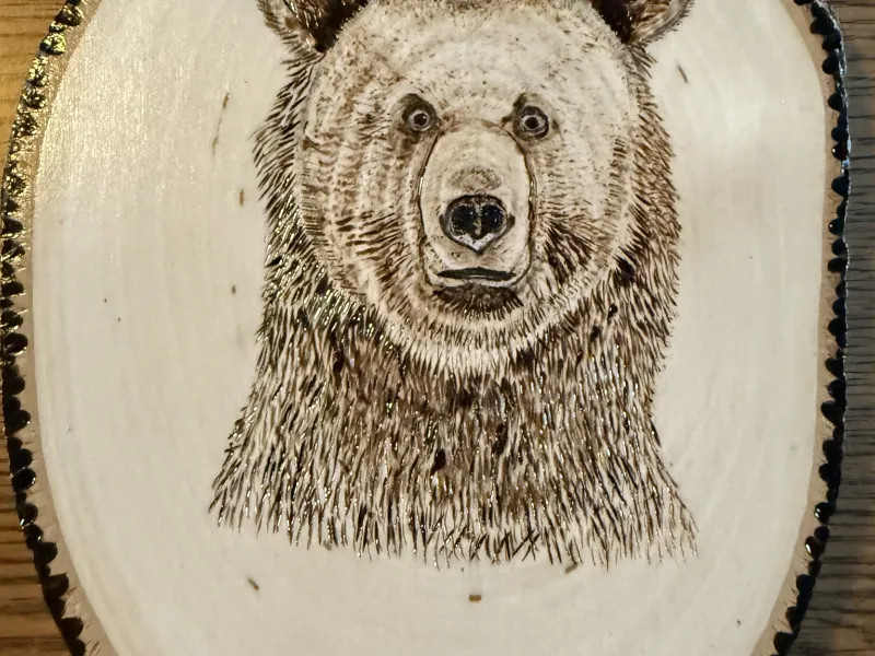 Wood burned picture of Brown Bear