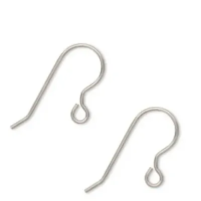 Titanium Earring Hooks