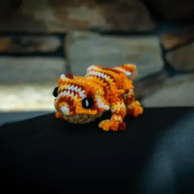 Lasagna the Bearded Dragon