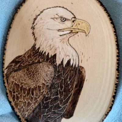 Wood burned eagle