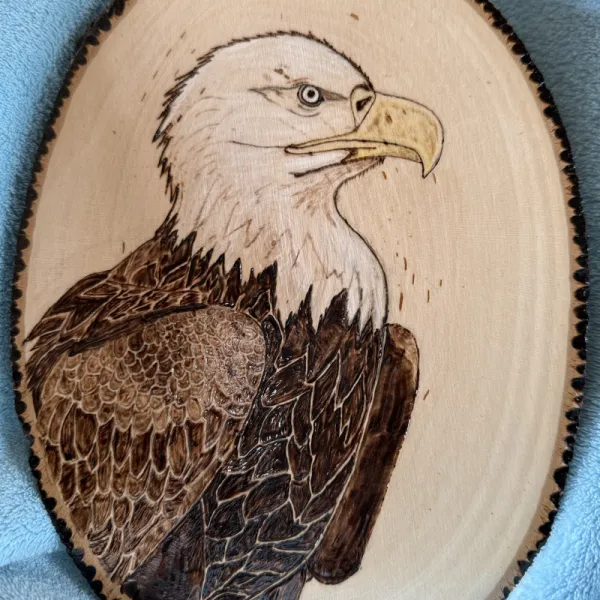 Wood burned eagle