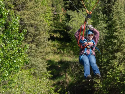 Denali Park Zipline Adventure