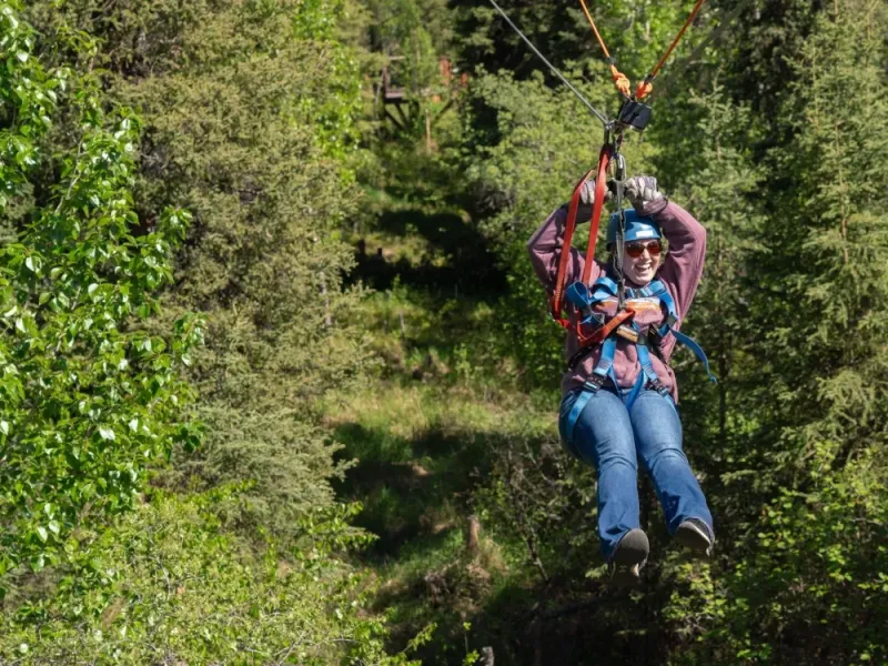 Denali Park Zipline Adventure