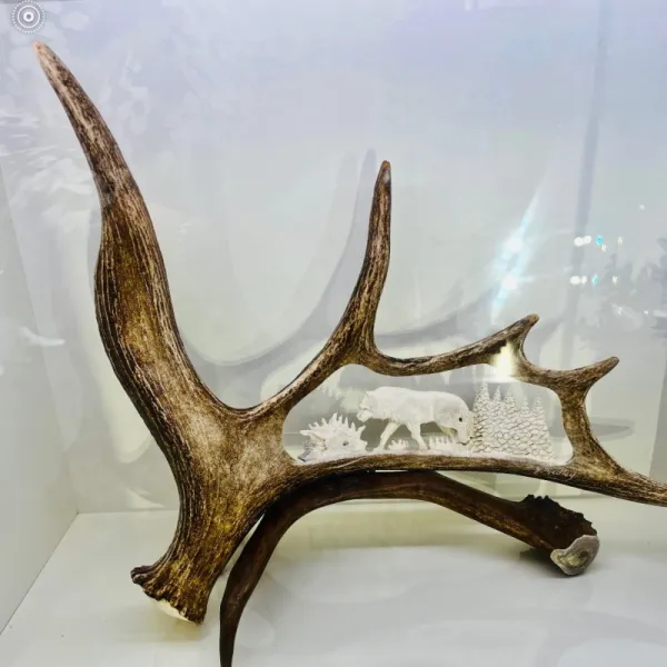 Moose Antler Carving With Wolf Motif