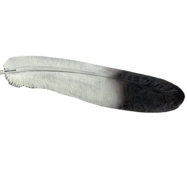 Bronze Eagle Feather life-size