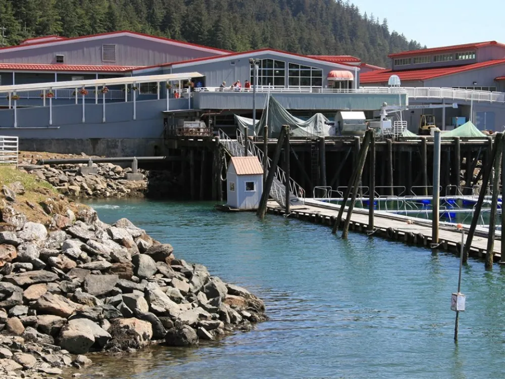 City Trolley Tour - 2