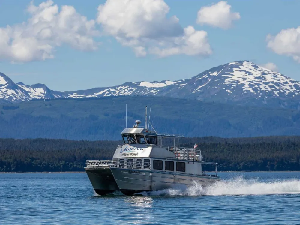 Juneau Whale Watching & Tracy's Crab Shack Combo Tour - 1