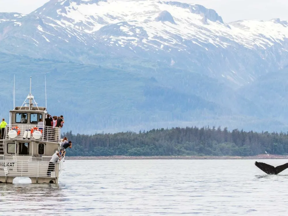 Juneau Whale Watching & Tracy's Crab Shack Combo Tour - 3