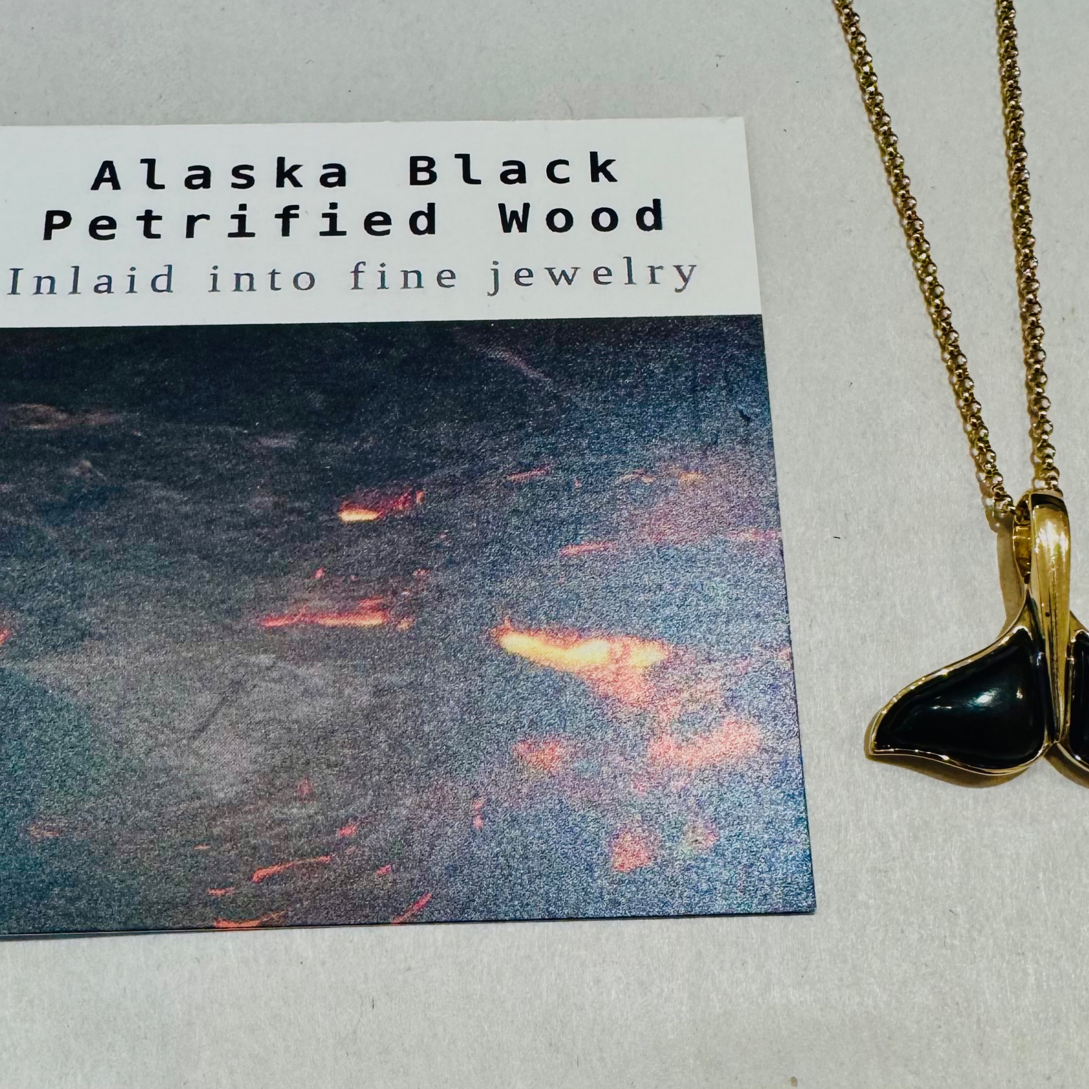 Alaska Black Petrified Wood Whale Tail Pendant Large