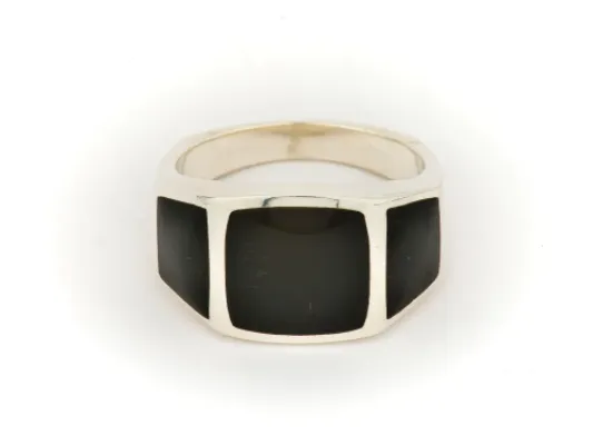 Alaska Black Petrified Wood Three Panel Men's Ring