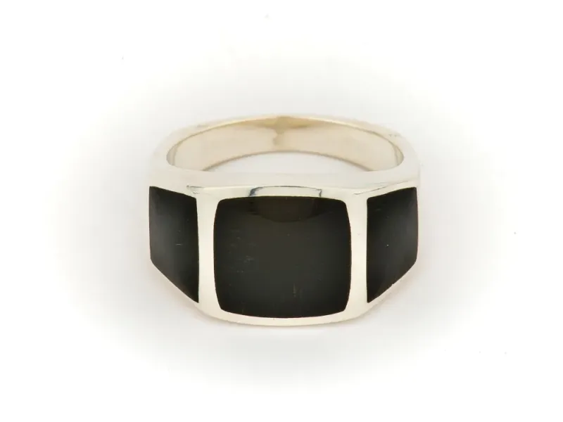 Alaska Black Petrified Wood Three Panel Men's Ring