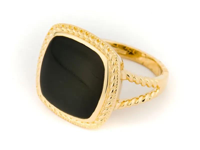 Alaska Black Petrified Wood Ladies Ring With Gold Rope Engraving